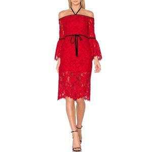 Alexis Odette Velvet Trim Lace Dress